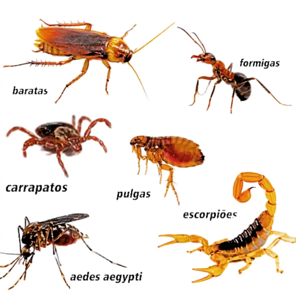 Baratas, formigas, carrapatos, pulgas, mosquitos e escorpiões.